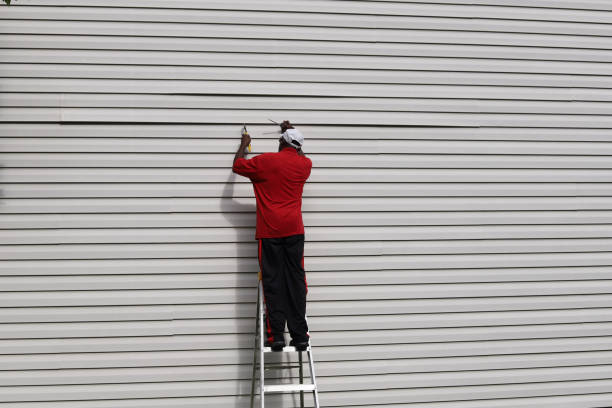 Best Custom Siding Design  in Kingman, AZ